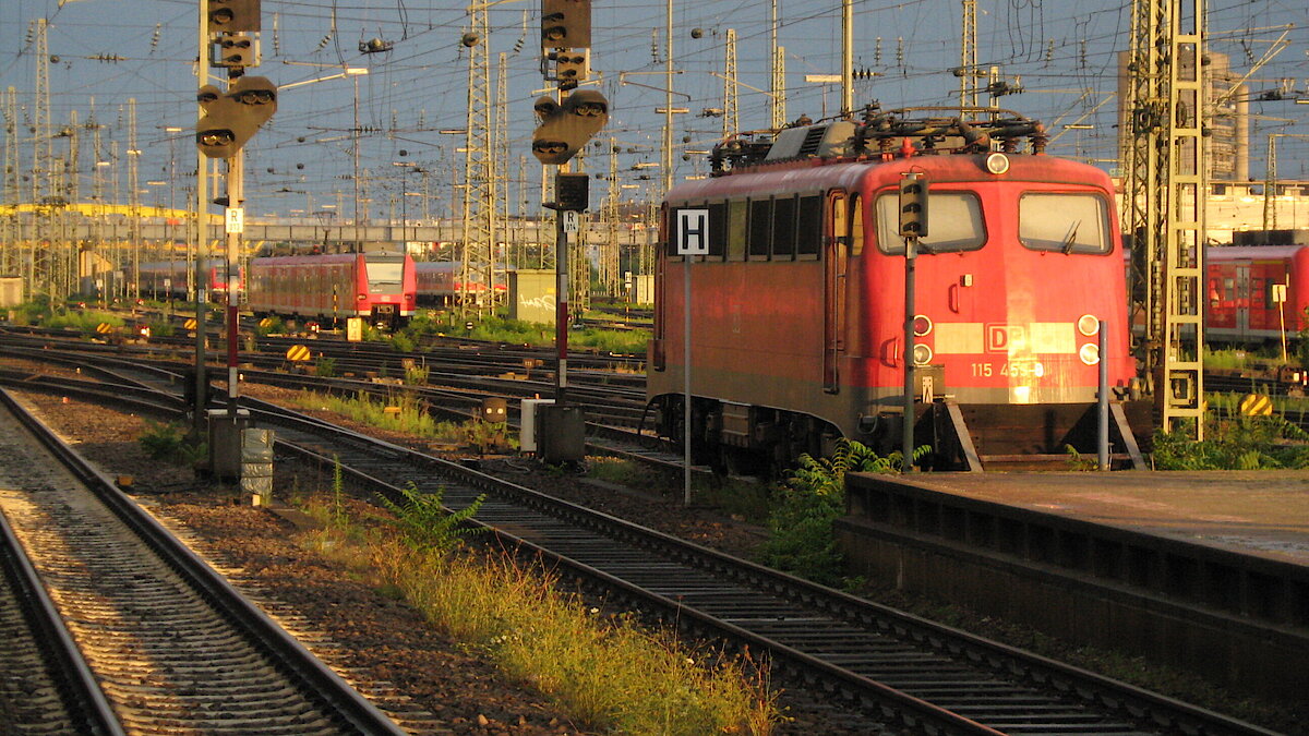 Foto: Günter Koch